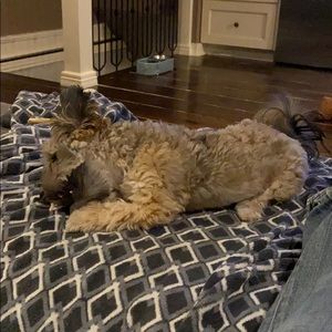 Meet your Posher, Chris